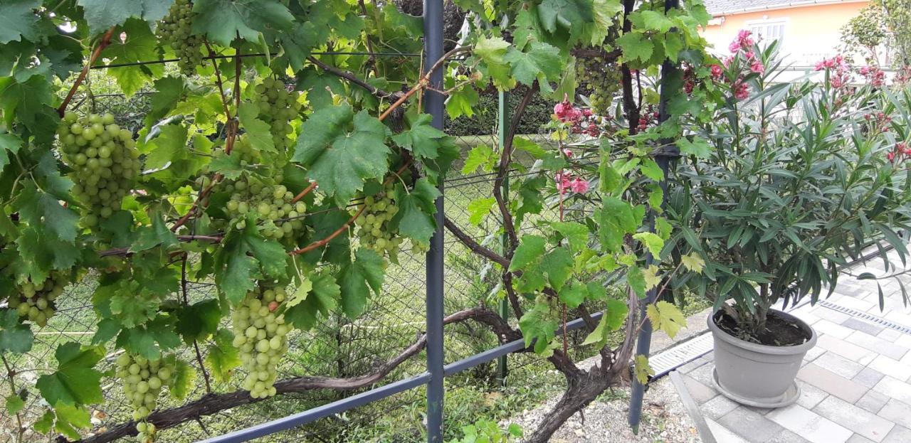 A Bringas Apartman Balatonfüred Buitenkant foto